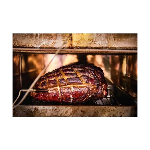 Borniak - Rookoven (RVS) Digitaal  met timer en WiFiT-150