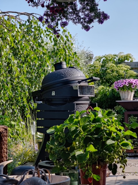 Piro- JB Edition Large