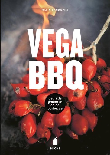 [EDB-001237] VEGA BBQ